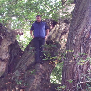 Jeremy Gye, Consulting Arborist and Urban Forester, up the Tortworth Chestnut